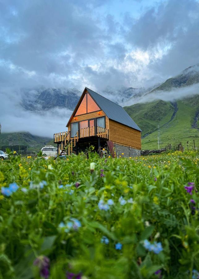 Mood Villa Kazbegi エクステリア 写真