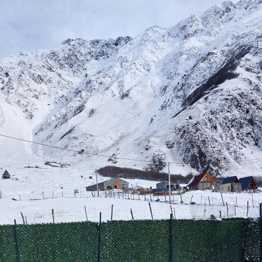 Mood Villa Kazbegi エクステリア 写真