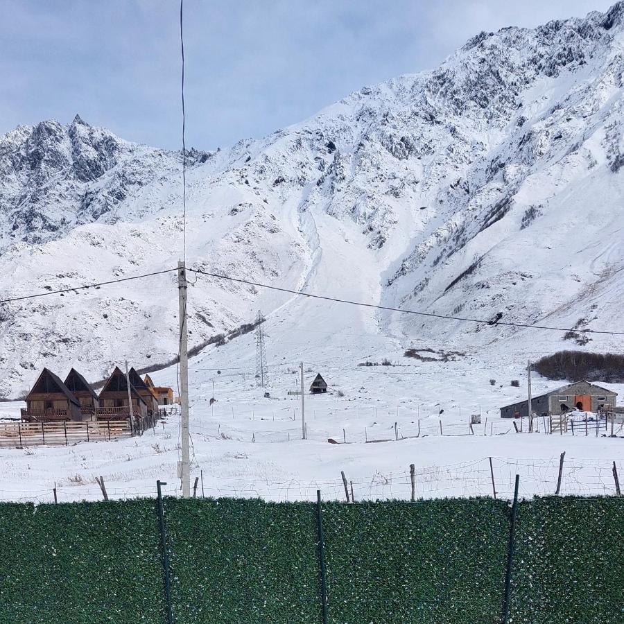 Mood Villa Kazbegi エクステリア 写真